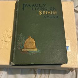 Family Living On $500 A Year - antique book