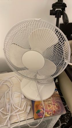 Fan