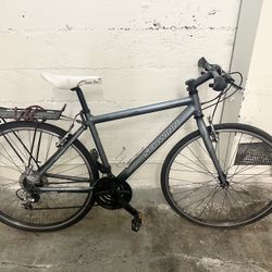 Schwinn Tourist Bike