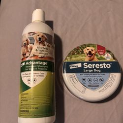 Flea collar & shampoo