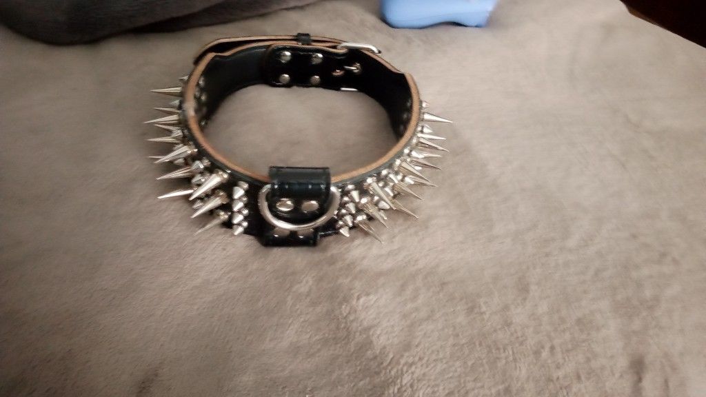 Dog Spike Collar