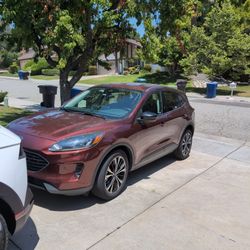 Ford Escape 2021 Hybrid Red