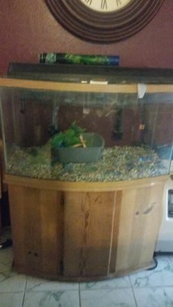 55 GAL BOW FRONT FISH TANK