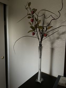 Plant Decoration