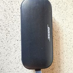 Bose Flex Speaker