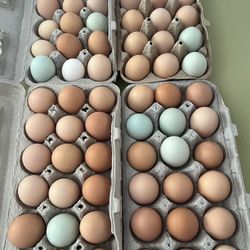 Farm Fresh Eggs For Sale