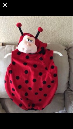 Costume Lady bug