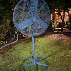 Fan