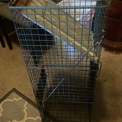 Raccoon Trap 