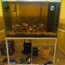 325 Gallon Tank & stand