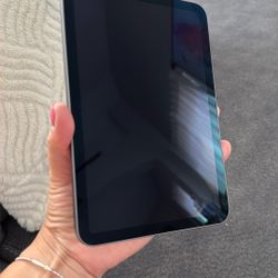 iPad mini 6