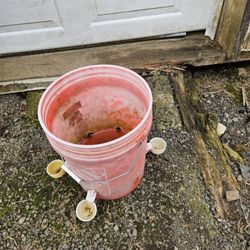 Chicken Water-er