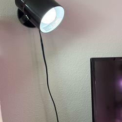 Spot Light w/swivel-60 Watt Bulb