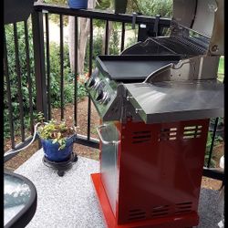 2 Burner Propane Gas Grill in Red with Grill Cover and Propane