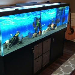 125 Gallon Tank + Wooden Stand