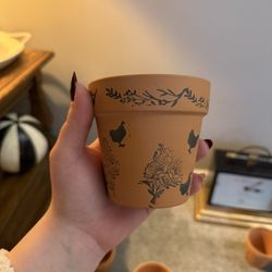 Plant Pot