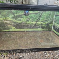 Reptile Tank