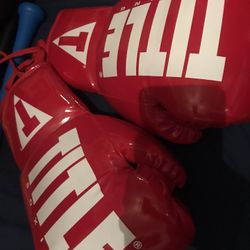 NEW TITLE 14Oz BOXING GLOVES