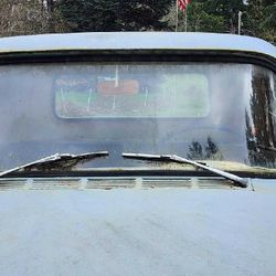 1955 Chevy 3100 