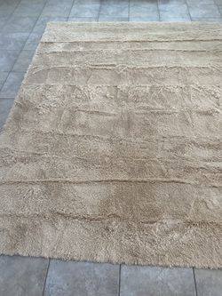 8x10 Shaggy Area Rug 