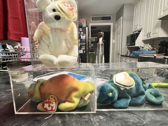 Collector Beanie Babies