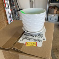 Flower Pots
