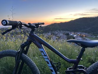 Gaint Stance 29” small