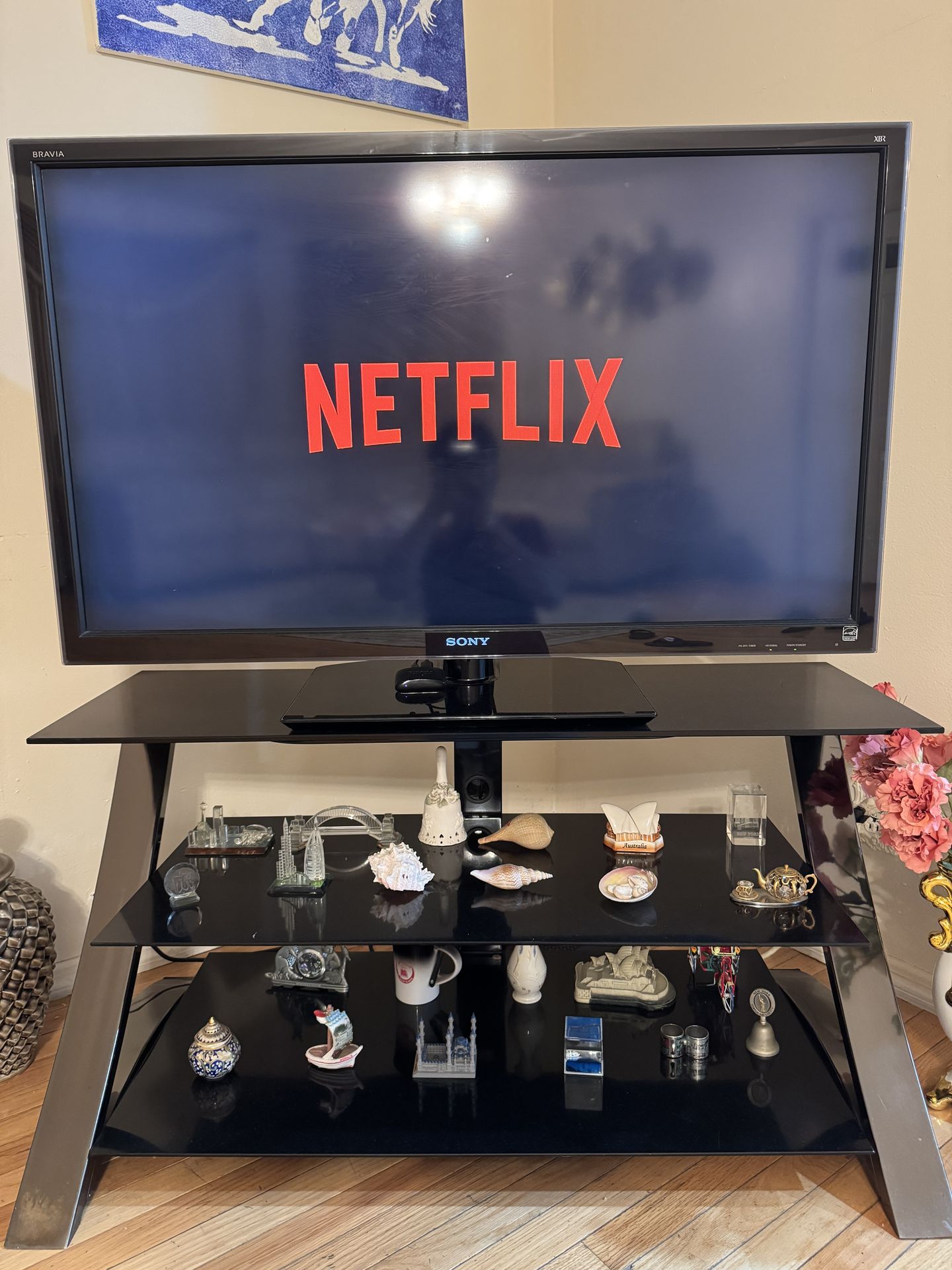 46 Inch Sony Bravia TV with Roku and TV Stand