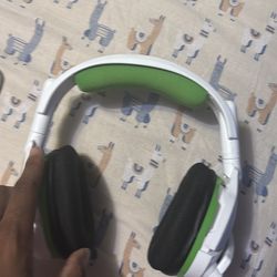 Turtle beaches