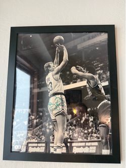 Lot of 4 16x20 Framed autograph Pics Bird Vlad Jr Trae Young Herro