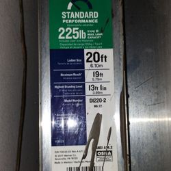 Werner 20 ft. Ladder.