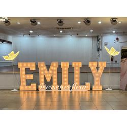 Marquee Letters And LED Butterflies 