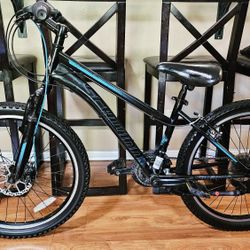 24" Schwinn Youth Hybrid MT Bike