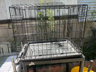 Medium Dog cage