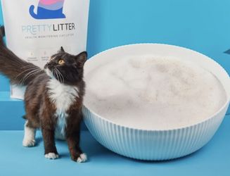 Cat litter - Litter For Cats Bowl - Pretty litter 