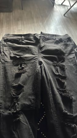 Torrid pants