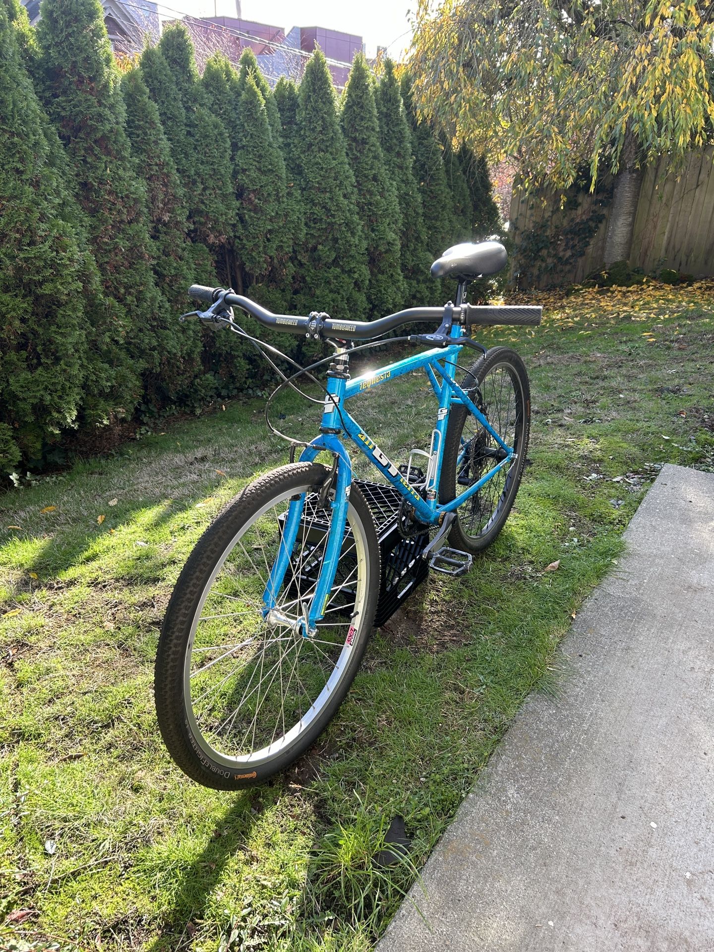 GT 90s Mountain Bike