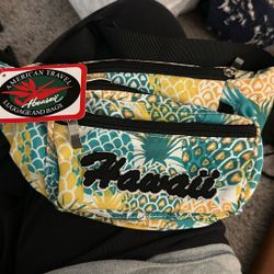 Brand New Fanny Pack 