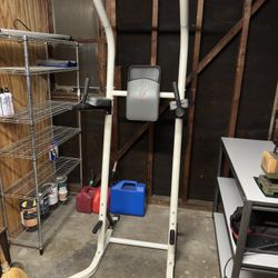 Pull Up / Vertical Knee Raise