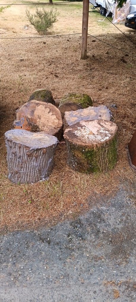 Free Firewood