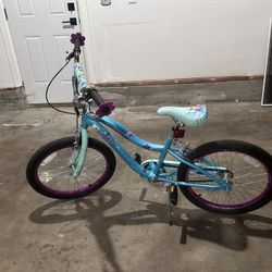 Kids 20” Bike