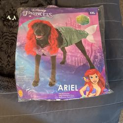 Disney Ariel Dog Costume