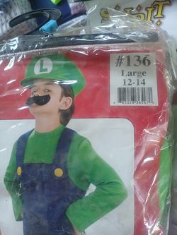 Luigi halloween costume