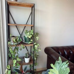 Standalone Bookshelf