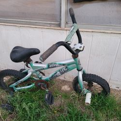 Little Kid's Bike Messed Up 