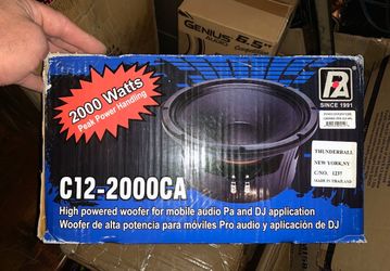New 12" P-Audio Pro Audio Woofer (1 Available)