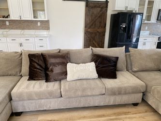 Couches Interior Shampoo Conditioner