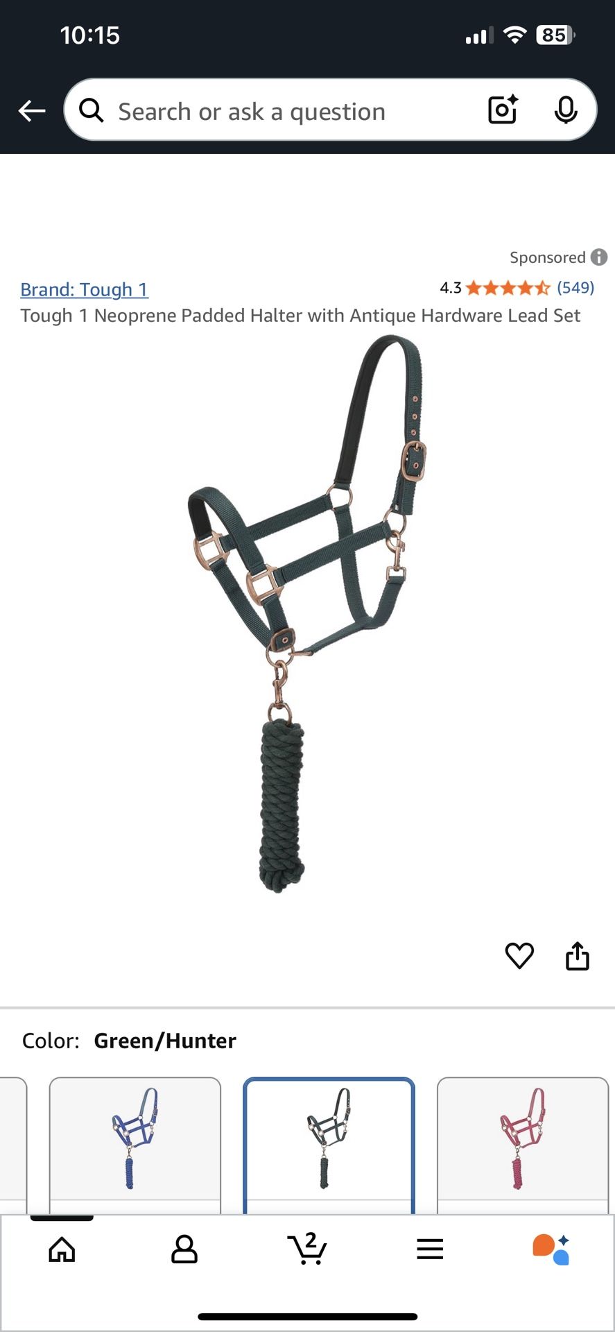 Padded Halter W/lead
