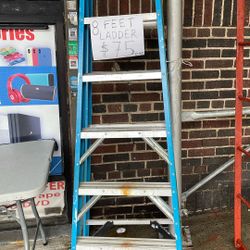 Werner 8feet Ladder 250lbs $75 Obo