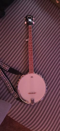 Washburn B-9 Banjo
